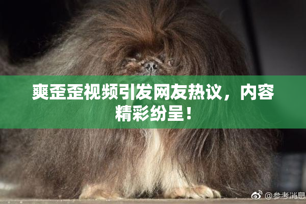 爽歪歪视频引发网友热议，内容精彩纷呈！