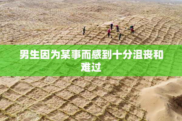 男生因为某事而感到十分沮丧和难过