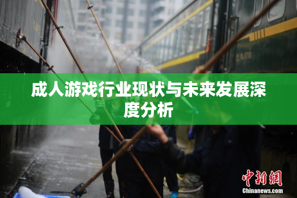 成人游戏行业现状与未来发展深度分析