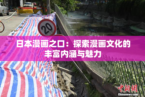 日本漫画之口：探索漫画文化的丰富内涵与魅力