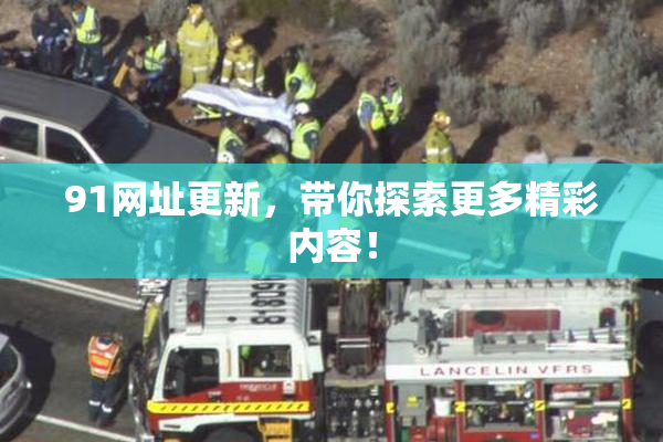 91网址更新，带你探索更多精彩内容！