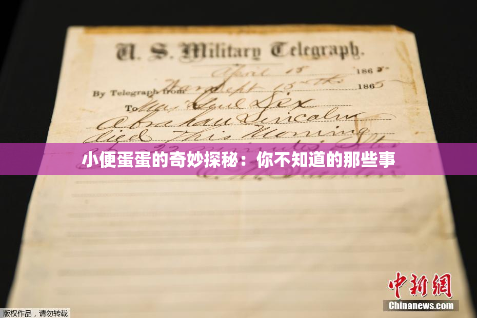 小便蛋蛋的奇妙探秘：你不知道的那些事
