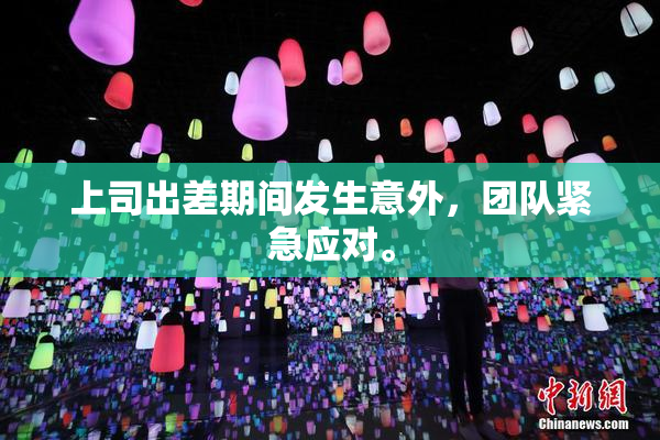 上司出差期间发生意外，团队紧急应对。