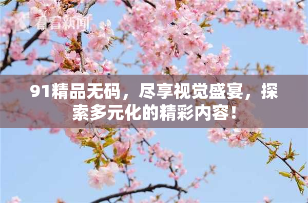 91精品无码，尽享视觉盛宴，探索多元化的精彩内容！