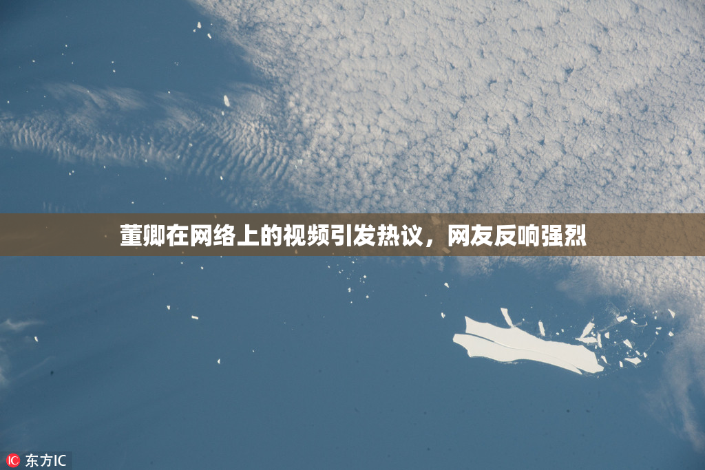 董卿在网络上的视频引发热议，网友反响强烈