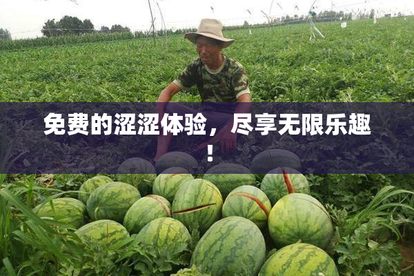 免费的涩涩体验，尽享无限乐趣！