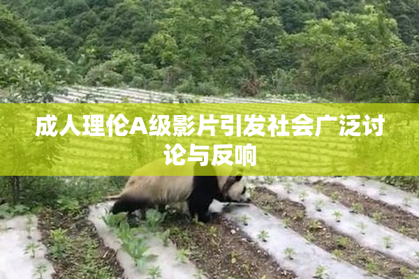成人理伦A级影片引发社会广泛讨论与反响