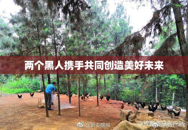 两个黑人携手共同创造美好未来