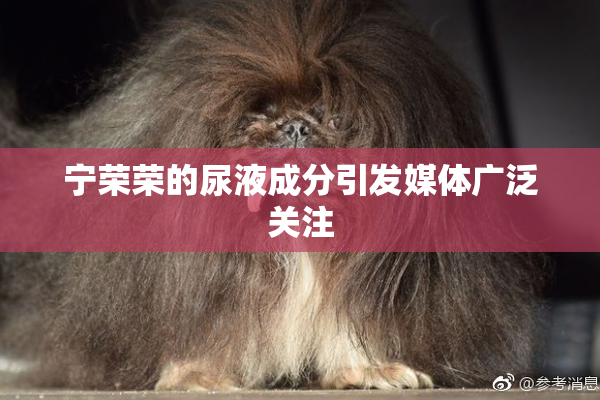 宁荣荣的尿液成分引发媒体广泛关注