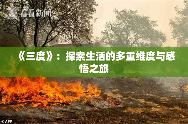 《三度》：探索生活的多重维度与感悟之旅