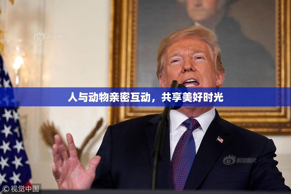 人与动物亲密互动，共享美好时光