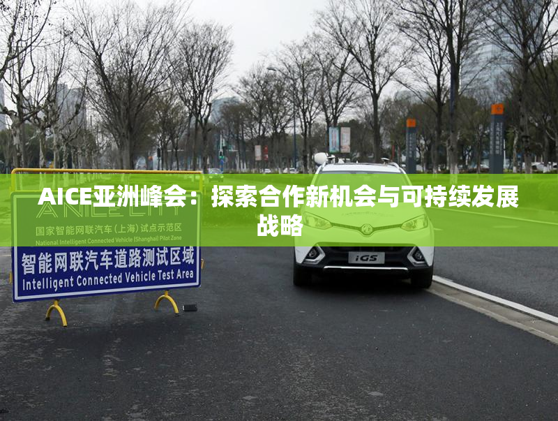 AICE亚洲峰会：探索合作新机会与可持续发展战略