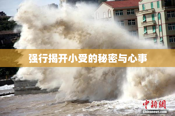 强行揭开小受的秘密与心事