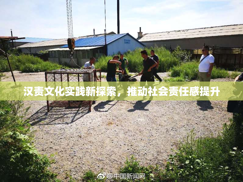 汉责文化实践新探索，推动社会责任感提升
