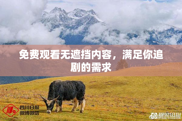 免费观看无遮挡内容，满足你追剧的需求