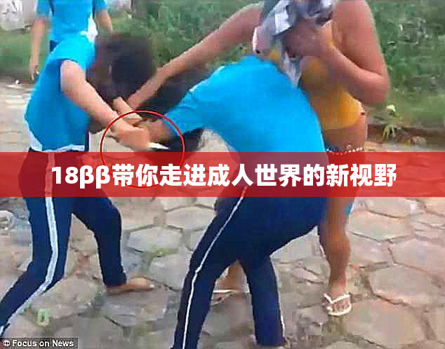 18ββ带你走进成人世界的新视野