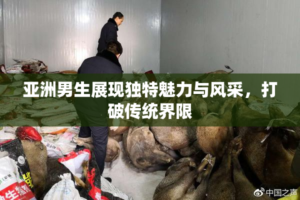 亚洲男生展现独特魅力与风采，打破传统界限
