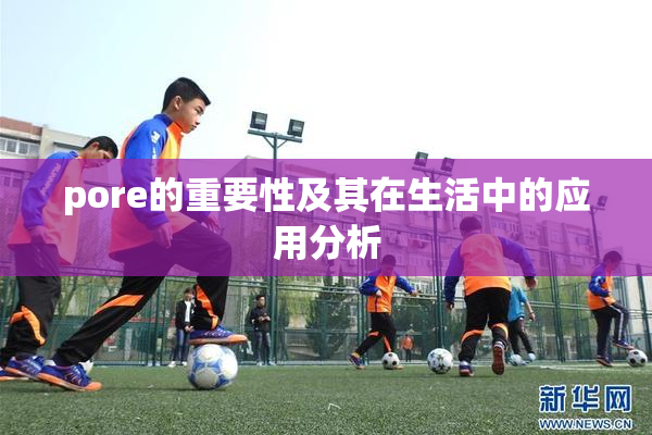 pore的重要性及其在生活中的应用分析