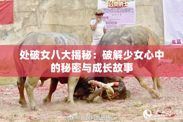 处破女八大揭秘：破解少女心中的秘密与成长故事