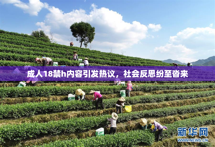 成人18禁h内容引发热议，社会反思纷至沓来