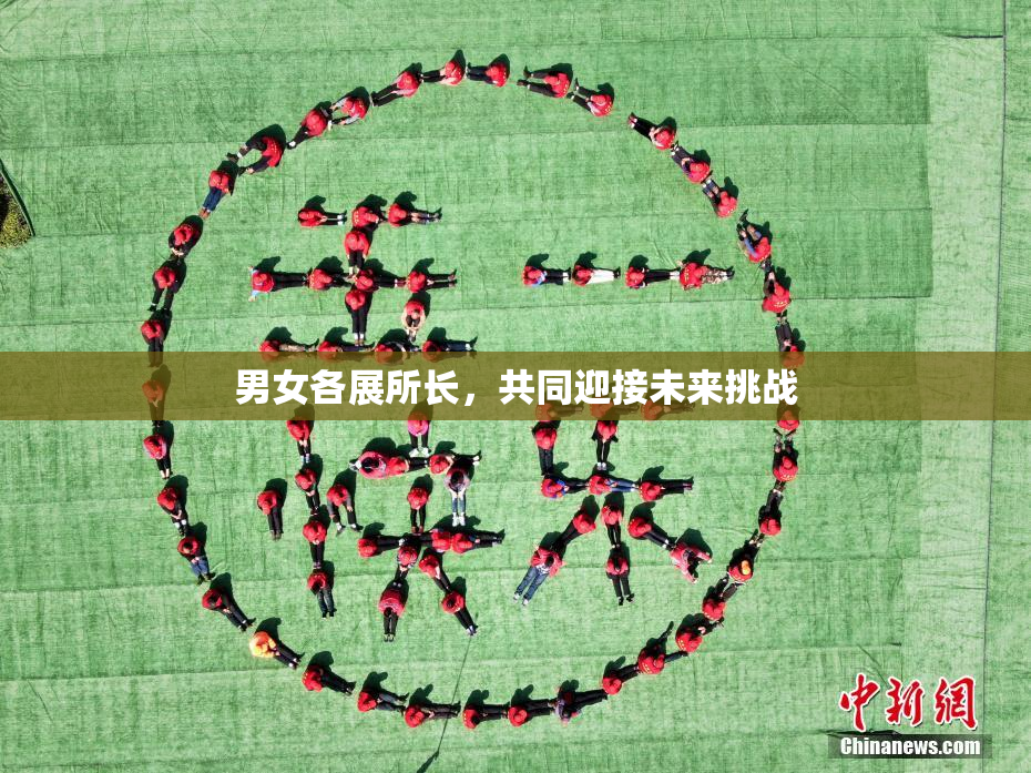 男女各展所长，共同迎接未来挑战