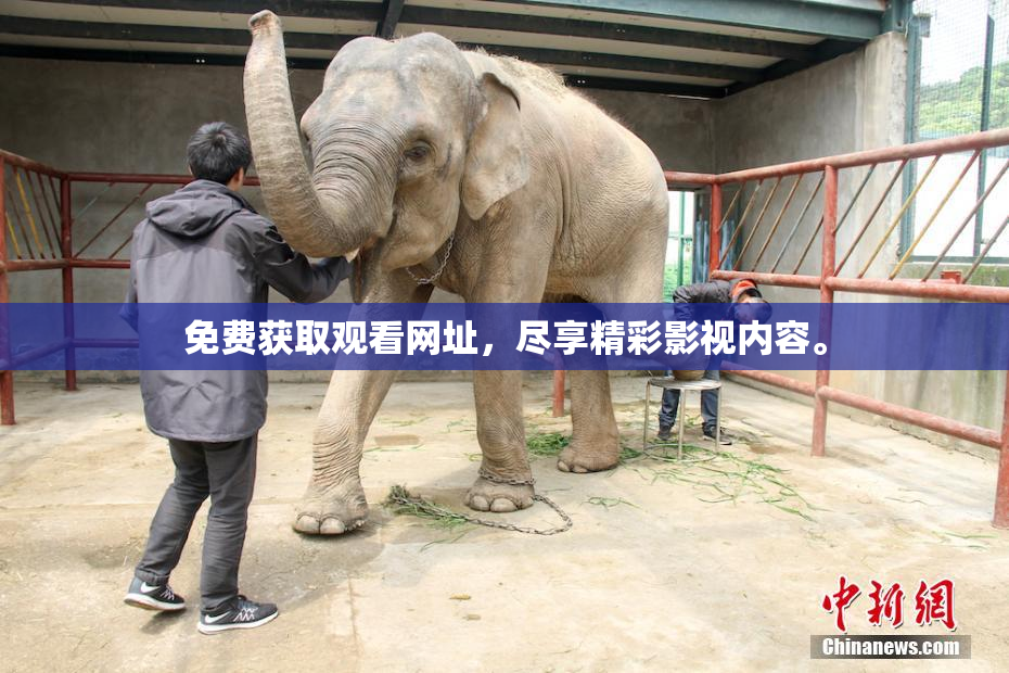 免费获取观看网址，尽享精彩影视内容。