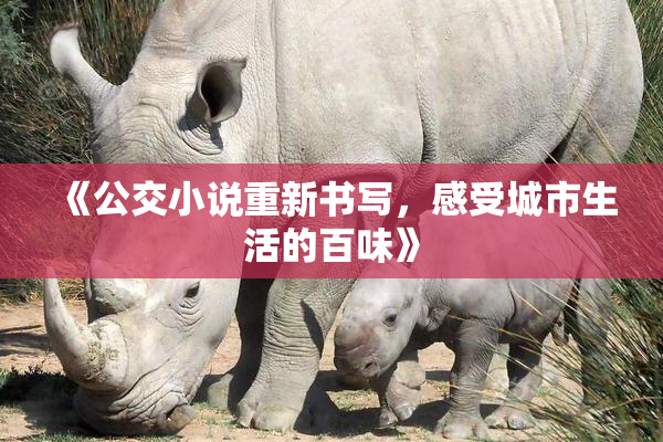 《公交小说重新书写，感受城市生活的百味》