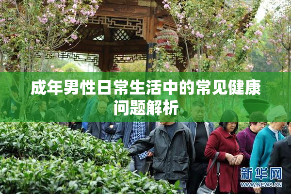 成年男性日常生活中的常见健康问题解析