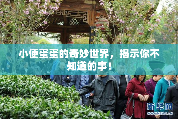 小便蛋蛋的奇妙世界，揭示你不知道的事！