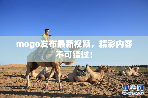 mogo发布最新视频，精彩内容不可错过！