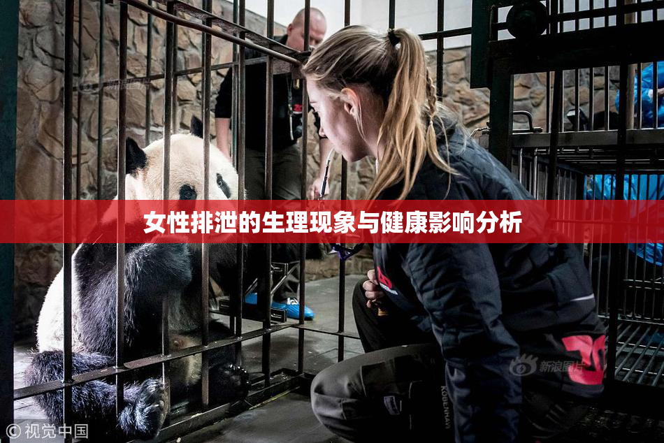 女性排泄的生理现象与健康影响分析