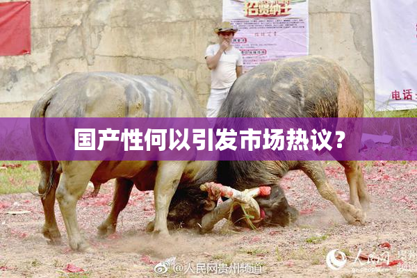 国产性何以引发市场热议？