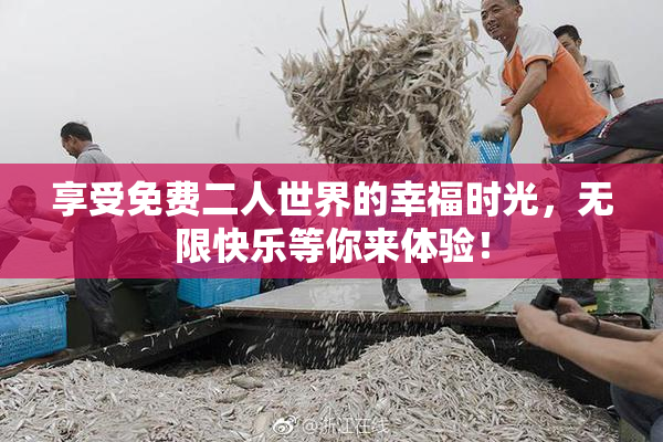 享受免费二人世界的幸福时光，无限快乐等你来体验！