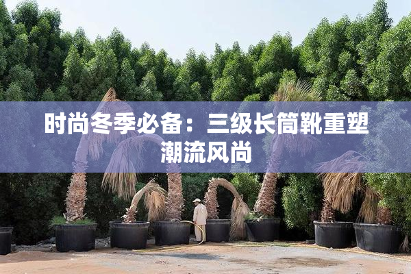 时尚冬季必备：三级长筒靴重塑潮流风尚