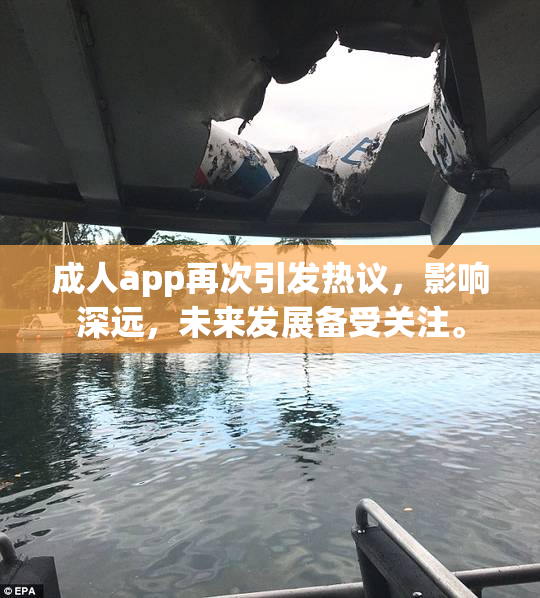 成人app再次引发热议，影响深远，未来发展备受关注。