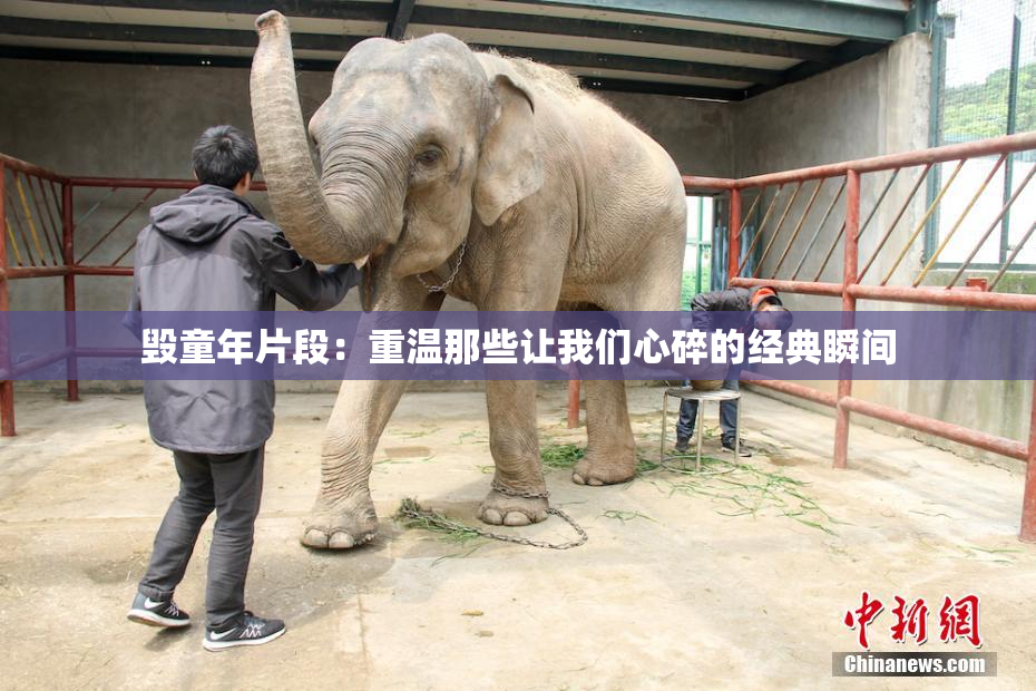 毁童年片段：重温那些让我们心碎的经典瞬间