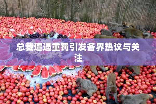 总裁遭遇重罚引发各界热议与关注