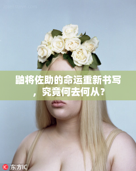 鼬将佐助的命运重新书写，究竟何去何从？