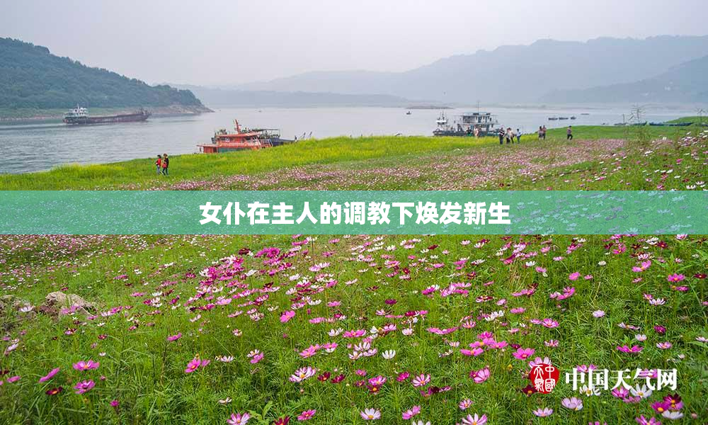 女仆在主人的调教下焕发新生