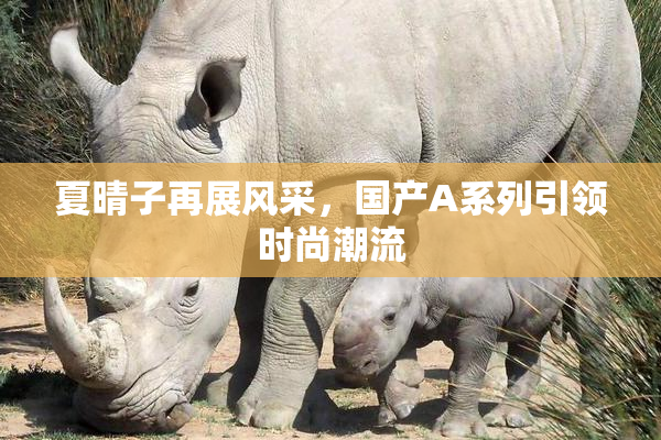 夏晴子再展风采，国产A系列引领时尚潮流