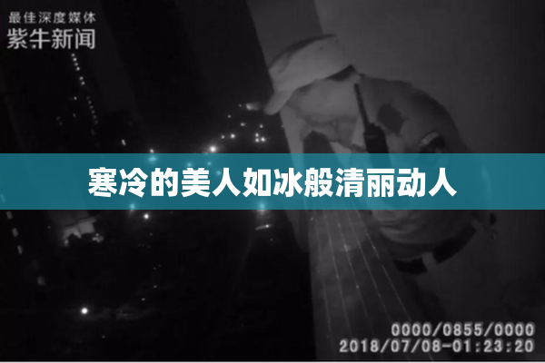 寒冷的美人如冰般清丽动人