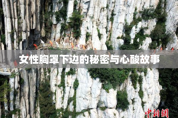 女性胸罩下边的秘密与心酸故事