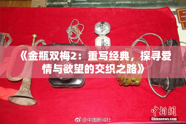 《金瓶双梅2：重写经典，探寻爱情与欲望的交织之路》
