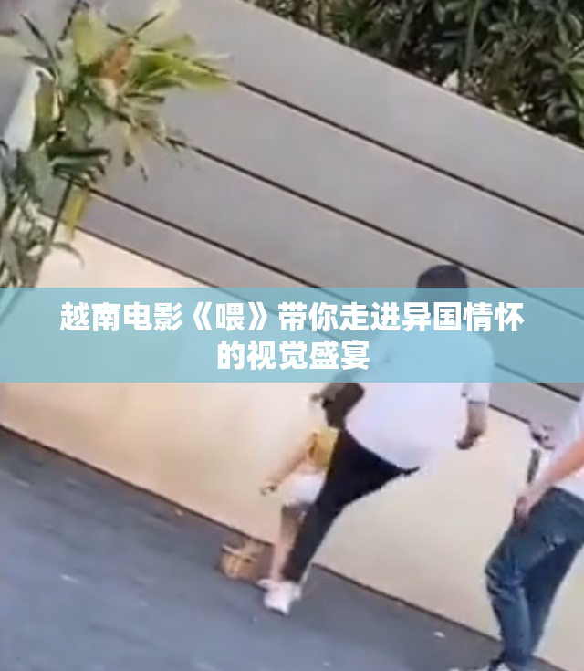 越南电影《喂》带你走进异国情怀的视觉盛宴