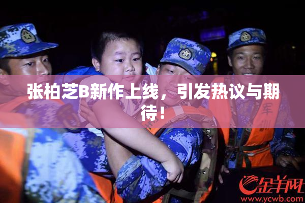 张柏芝B新作上线，引发热议与期待！