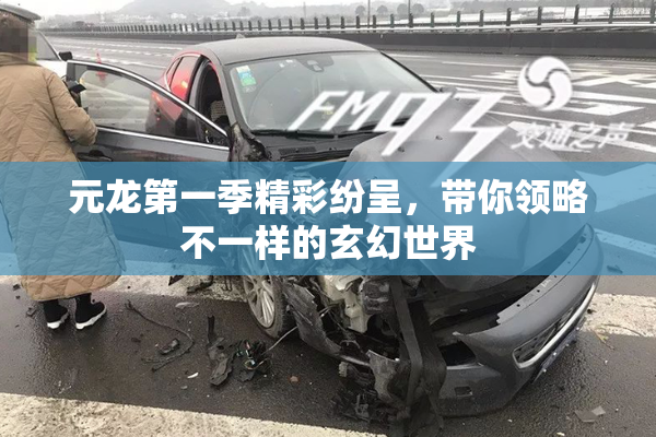 元龙第一季精彩纷呈，带你领略不一样的玄幻世界