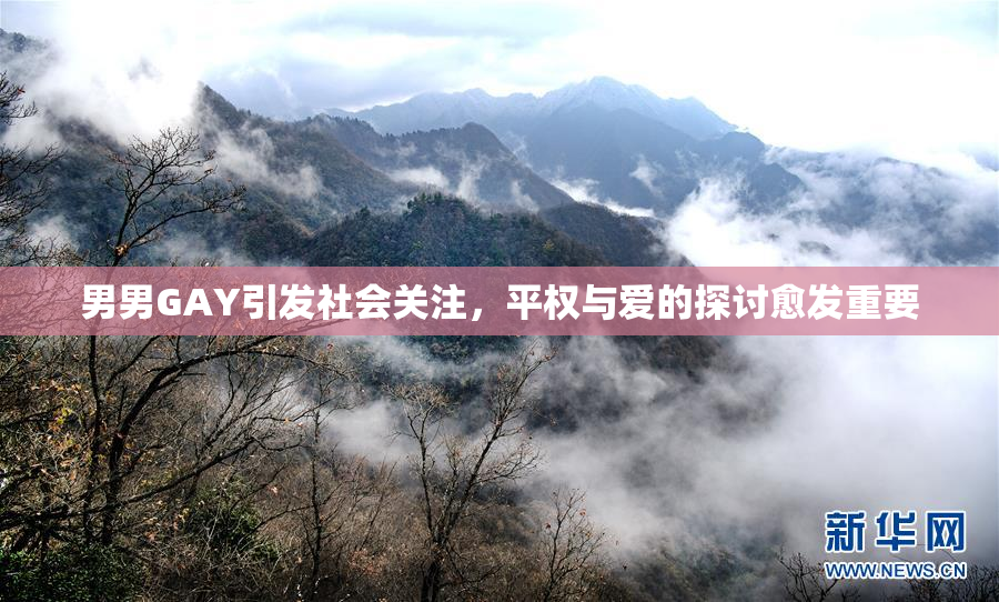 男男GAY引发社会关注，平权与爱的探讨愈发重要