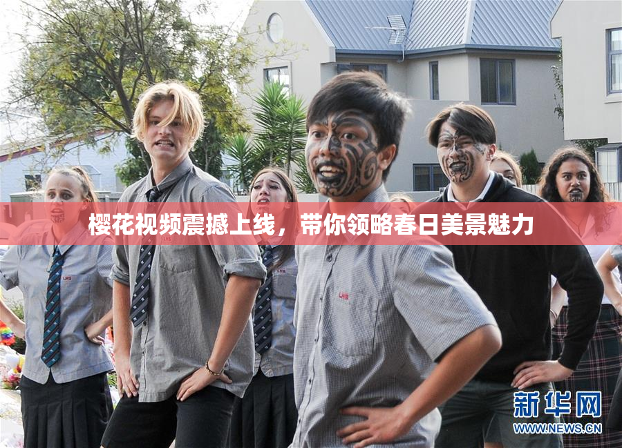 樱花视频震撼上线，带你领略春日美景魅力