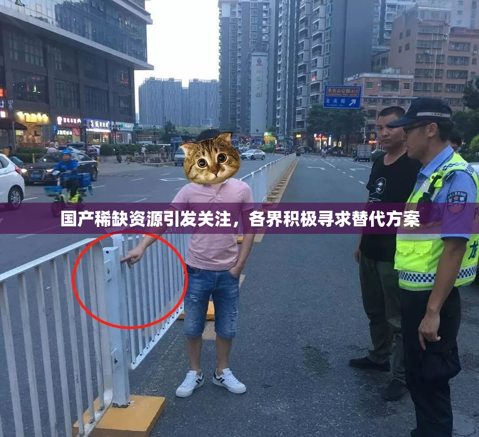 国产稀缺资源引发关注，各界积极寻求替代方案