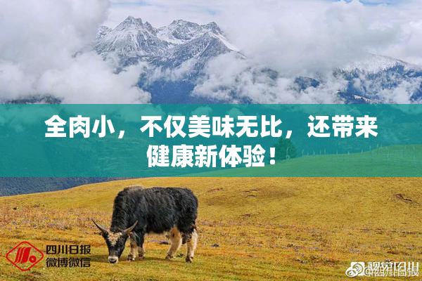 全肉小，不仅美味无比，还带来健康新体验！